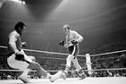 CHUCK WEPNER